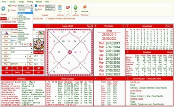 Leostar Professional (Best Astrology Software) | Package Option Level3