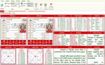 Leostar Professional (Best Astrology Software) | Matching