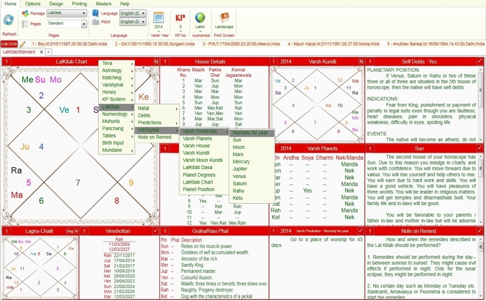 Leostar software for astrology, Lal Kitab Option Level 3