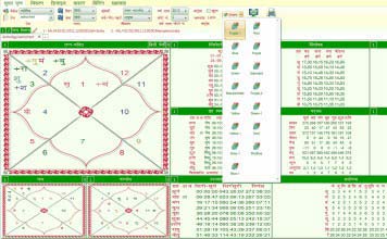 Leostar Horoscope Software, Hroscope Matching, Kundli, Theme Selection