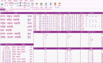 Leostar Kundali Software, Leostar Krishnamurti, tenure