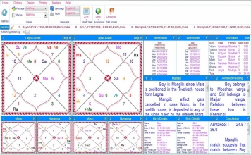 Leostar Home (Best Astrology Software) Matching, Basic Matching