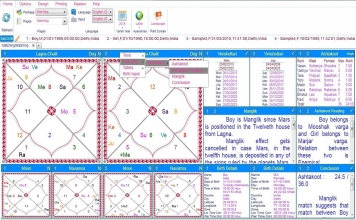 Leostar Home (Best Astrology Software), Horoscope Matching